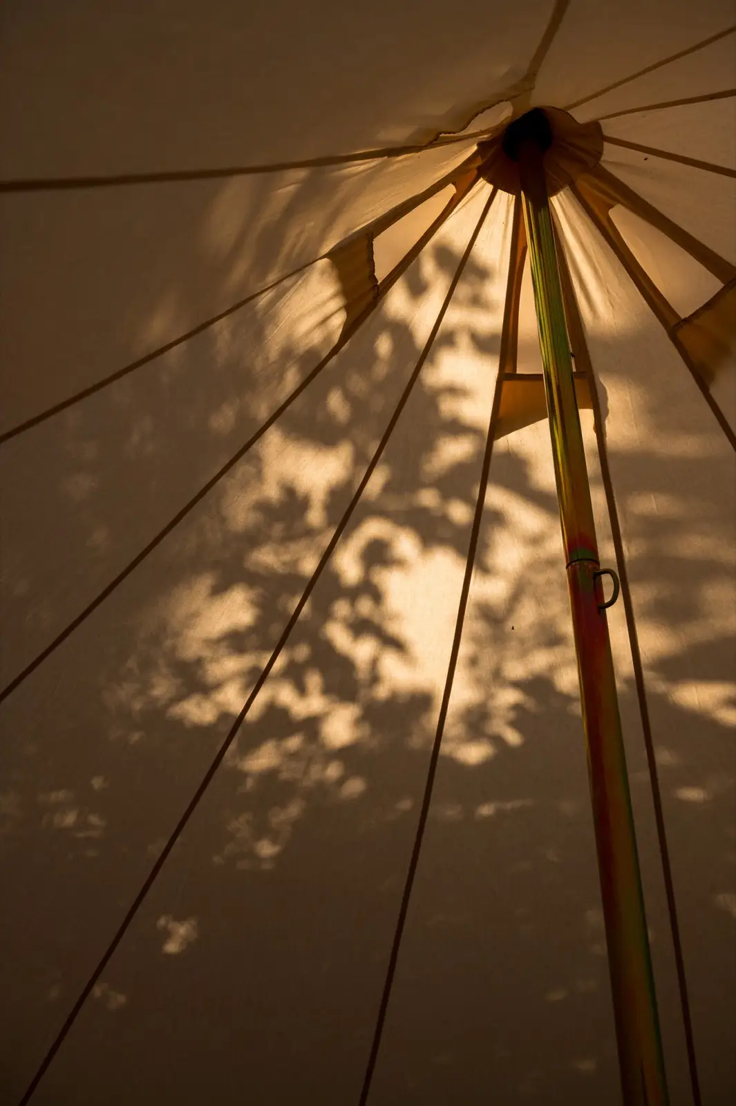 Bell tent in golden hour sunlight