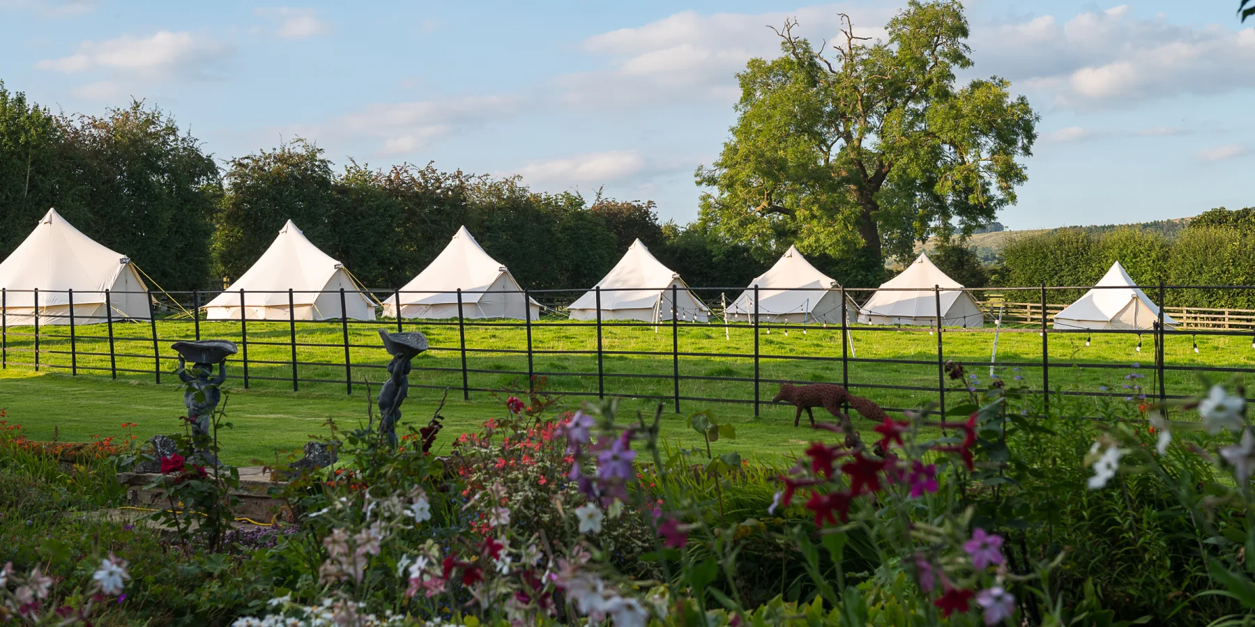 A line of bell tents behind a garden border on a summer day